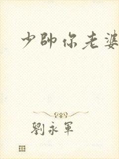 少帅你老婆封面