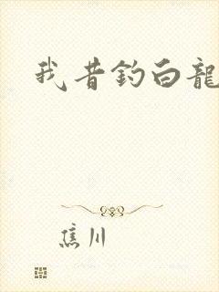 我昔钓白龙封面