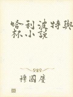 哈利波特与火焰杯小说