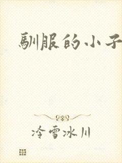 驯服的小子4封面