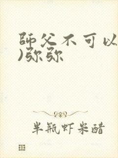 师父不可以(限)弥弥封面