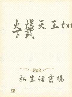 火爆天王txt下载