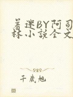 着迷BY阿司匹林小说全文免费阅读封面