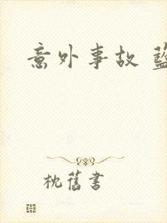 意外事故 蓝淋封面