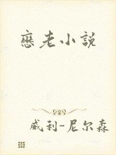 恋老小说封面
