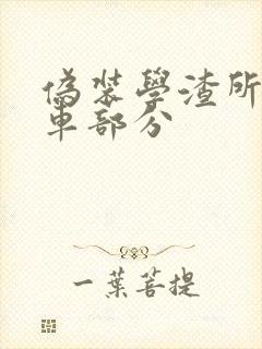 伪装学渣所有开车部分封面