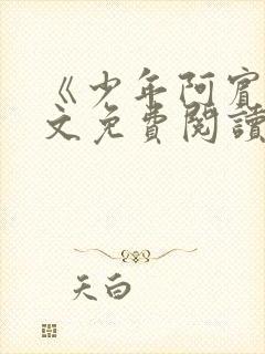 《少年阿宾》全文免费阅读