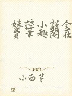 妹控小说全文免费笔趣阁在线阅读