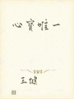 心宝唯一封面