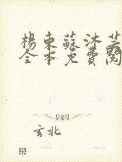 杨东苏沐芸小说全本免费阅读下载