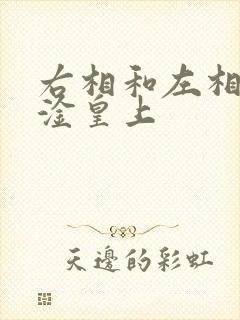 右相和左相一起淦皇上
