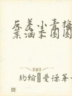 反差小青梅不经叶涵季园园封面