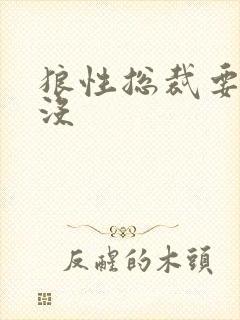 狼性总裁要够了没
