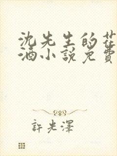 沈先生的花式调酒小说免费阅读