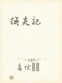 换夫记封面