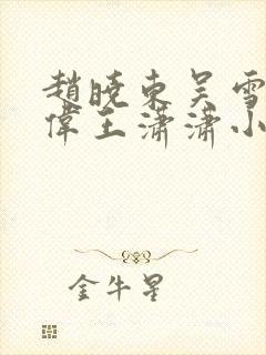 赵晓东吴雪晴郑伟王潇潇小说