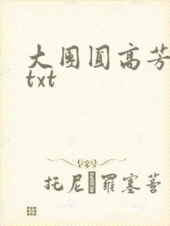 大团圆高芳小说txt