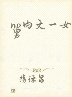 np肉文一女多男封面