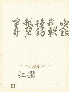 穿越后我吃到了哥儿的软饭炉山灰