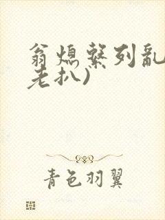翁熄系列乱 (老扒)