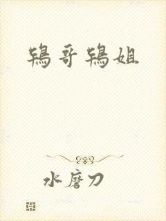 鸨哥鸨姐封面