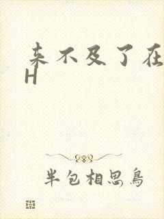 来不及了在车CH