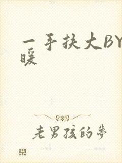 一手扶大BY泱暖封面