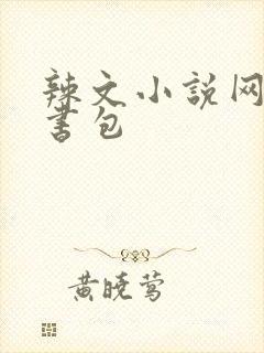 辣文小说网第二书包