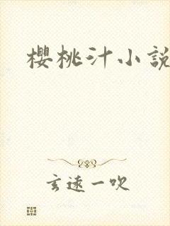 樱桃汁小说封面