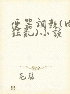 便器调教(肉体狂乱)小说封面