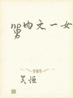 np肉文一女多男封面