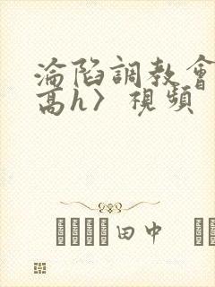 沦陷调教会所〈高h〉视频