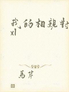 我的相亲对象是xl封面