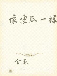 像傻瓜一样去爱