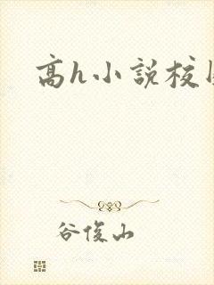 高h小说校园