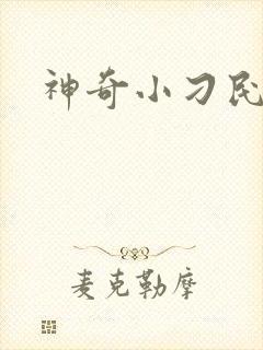神奇小刁民封面