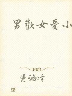 男欢女爱小说封面