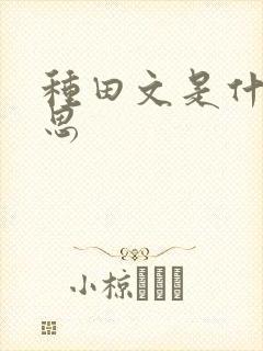 种田文是什么意思