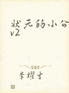 状元的小公主1v2封面