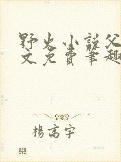 野火小说父女全文免费笔趣阁