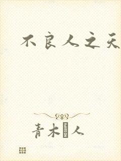 不良人之天罡传封面