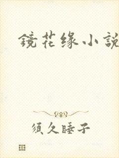 镜花缘小说