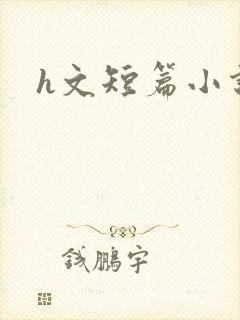 h文短篇小说封面