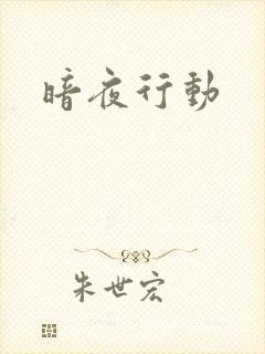 暗夜行动