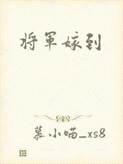 将军嫁到