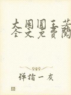 大团圆王芳高敏全文免费阅读封面