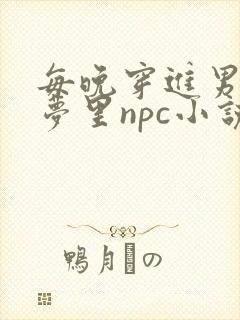 每晚穿进男神的梦里npc小说