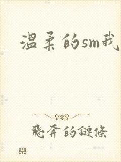 温柔的sm我