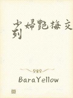 少妇艳梅交换系列封面