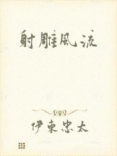 射雕风流